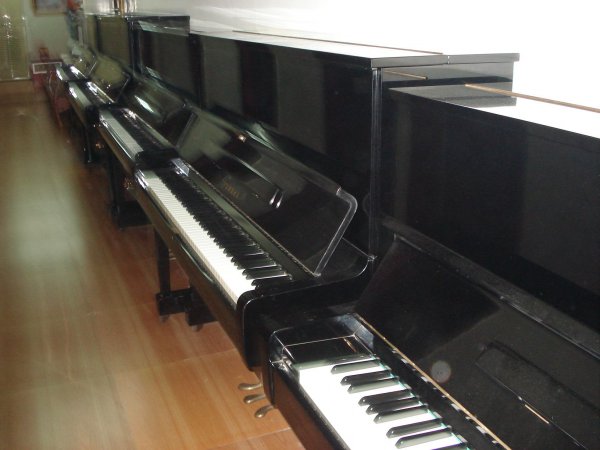 钢琴 吉他 古筝等乐器专卖 - 10000元